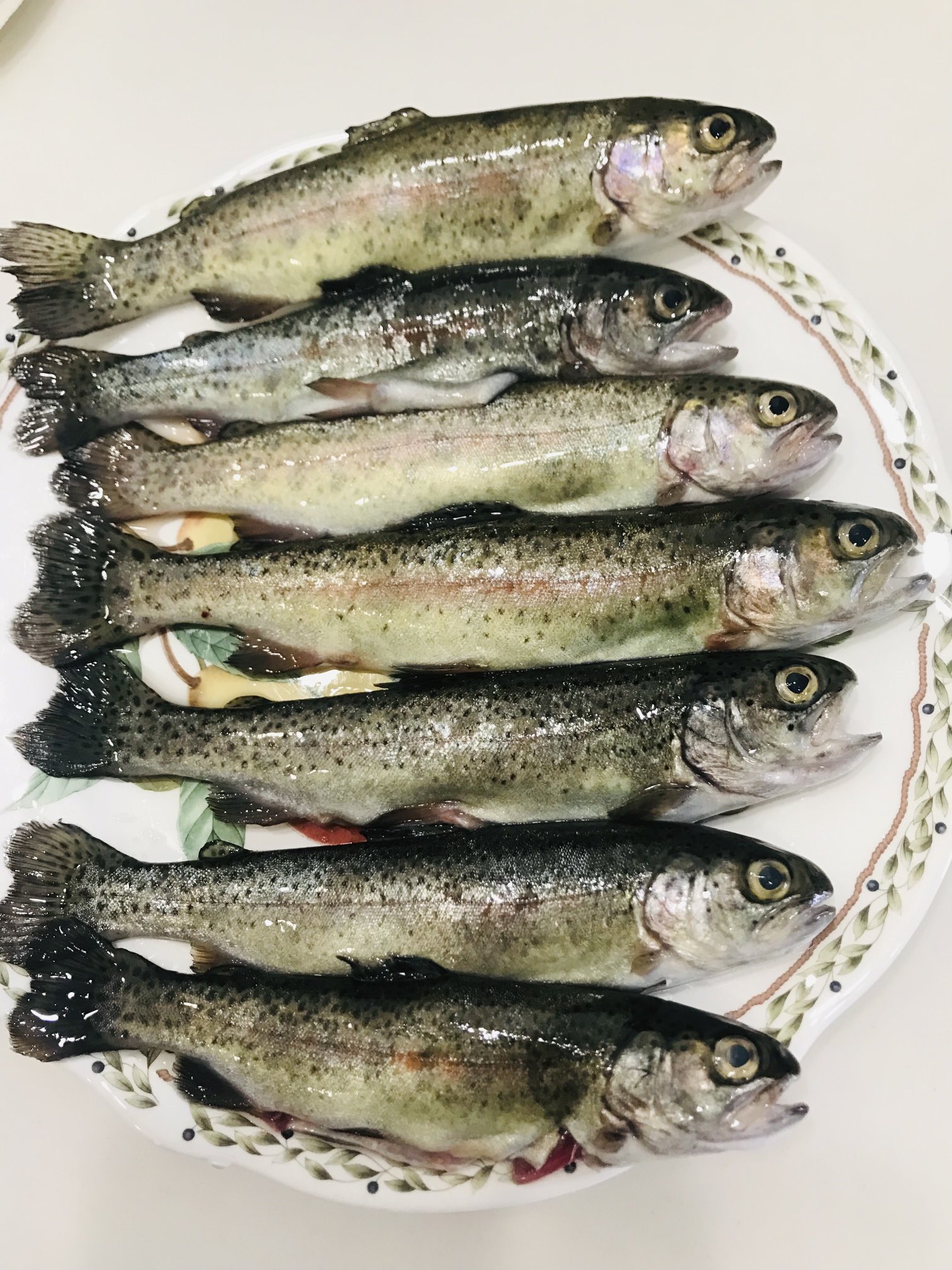 川魚 Twitter Search Twitter