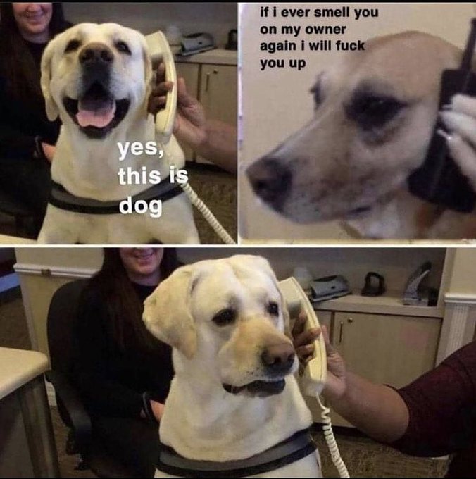 Boi https://t.co/OjZRMFlgHo