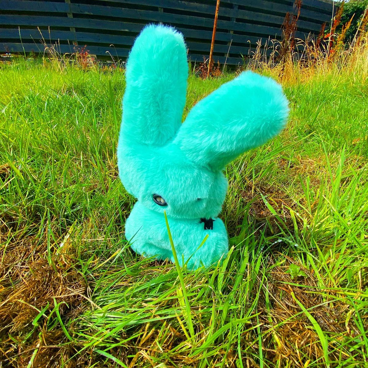 Hi! I’m Mint choc chip but people call me mint for short. You can adopt me from the link in the bio! 
#handmade #art #arttoy #SmallBusiness #plush #bunnyPlush