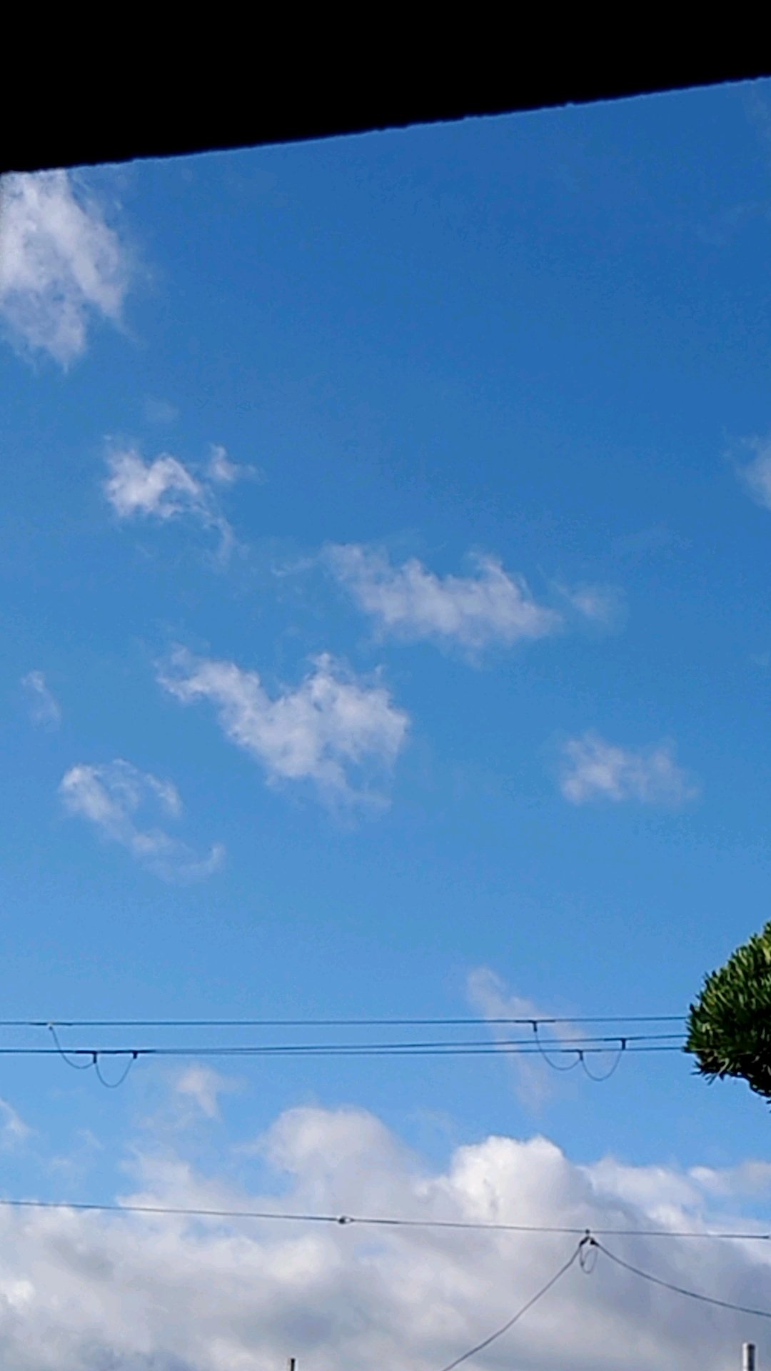 台風9号 Twitter Search Twitter