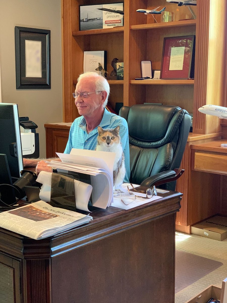 RT @Captsully: Missing this co-worker of mine today. #InternationalCatDay https://t.co/hANKErnMUr
