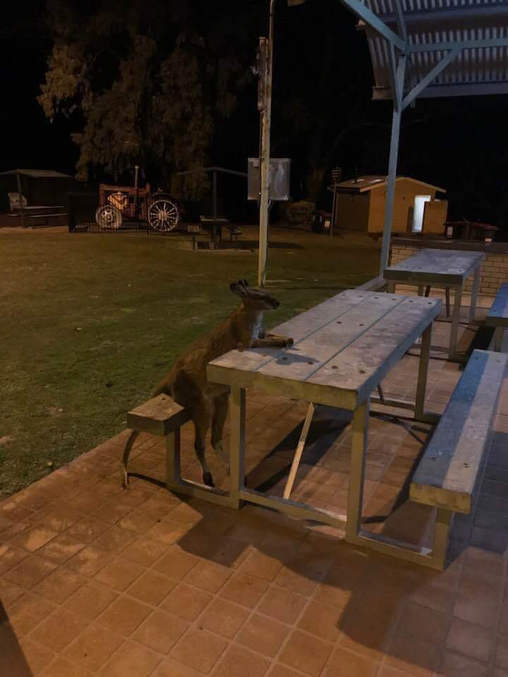 It only happens in Australia