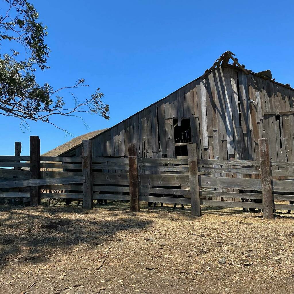 This one’s for you <a href="/heidi/">Heidi</a>.breese ~ snapped it as I was driving out of your ranch today. #livinginparadise #centralcoast #ranchgirl instagr.am/p/CSVIiNxJV_v/