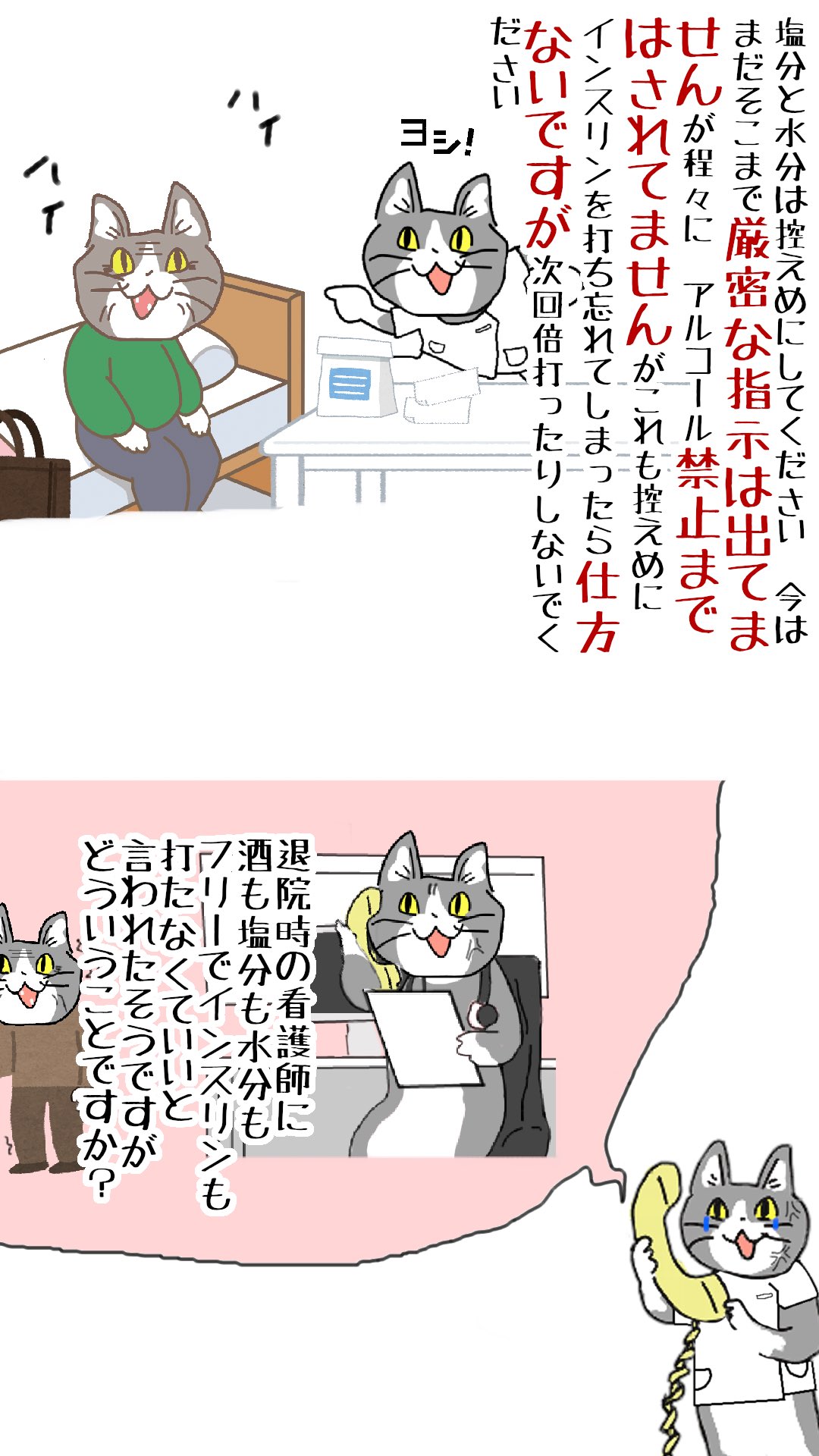 病院猫 現場猫 看護師 届いてほしい言葉は届きにくい 病院猫 現場猫 看護師 届いてほしい言葉は届きにくい