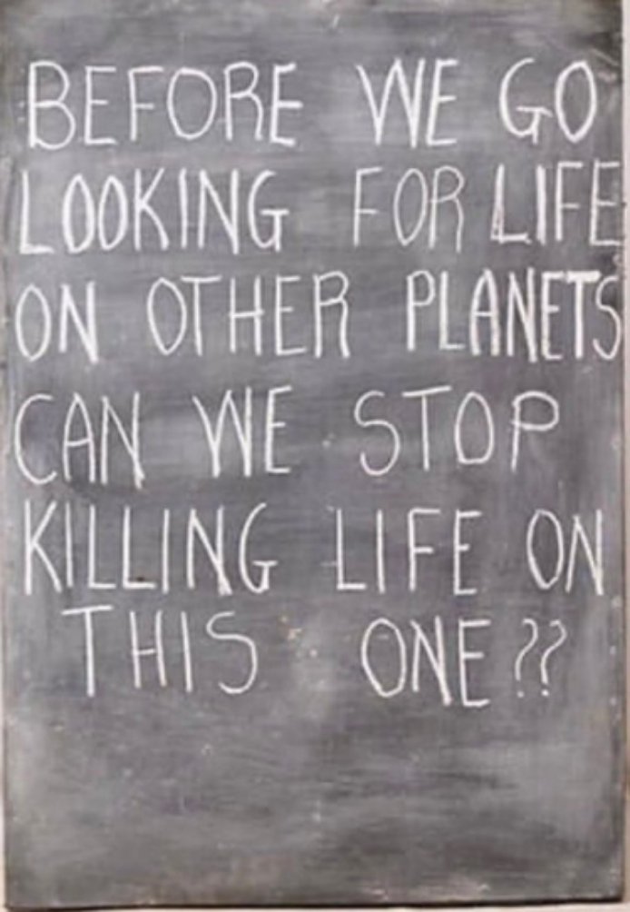 📌 Thought of the day 🧘‍♀️