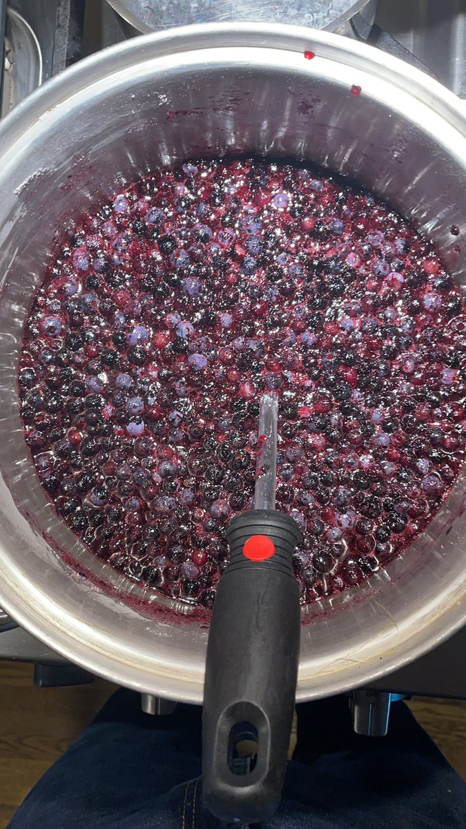 Libramlad's tweet photo. Blubbery Gin Jam on the boil.  #JamMaker #MakersGonnaMake.  #cheezyJam. https://t.co/5p87ORCebI