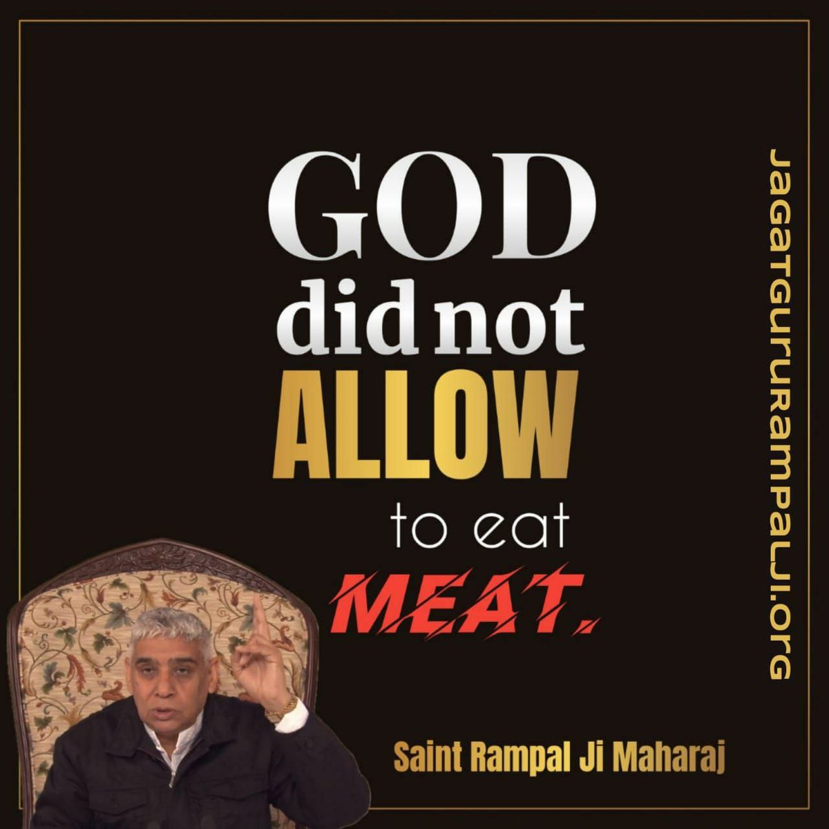 RT @Dileep888795: #InternationalCatDay

God did not allow to eat meat.

- Saint Rampal Ji https://t.co/FxQ7tATnJW