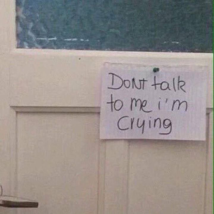 hourly nosh (@noshbhourly) on Twitter photo 