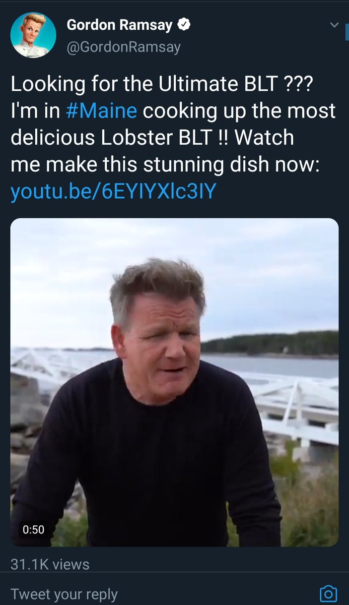 gordon ramsay's replies are a surreal place https://t.co/yiuLt0PBxj