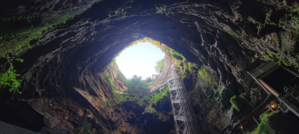 Frédéric Angeli ⚡️ tweet media