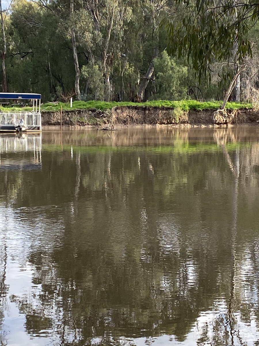 polky_007's tweet photo. Bank collapse and notching go hand in hand. 
Australia’s water reform, killing off the common person and killing our rivers https://t.co/0geMw5rN5Z