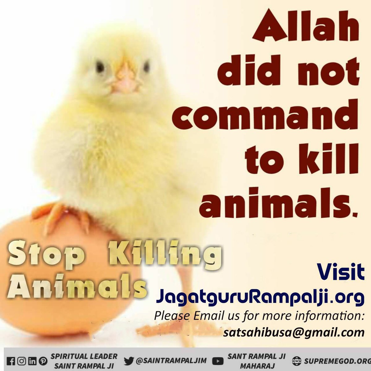 #InternationalCatDay
People pray and worship God to please Him while they murder His beings for taste. God can never be pleased with them.
Saint rampal ji https://t.co/3SOpBIAEAJ