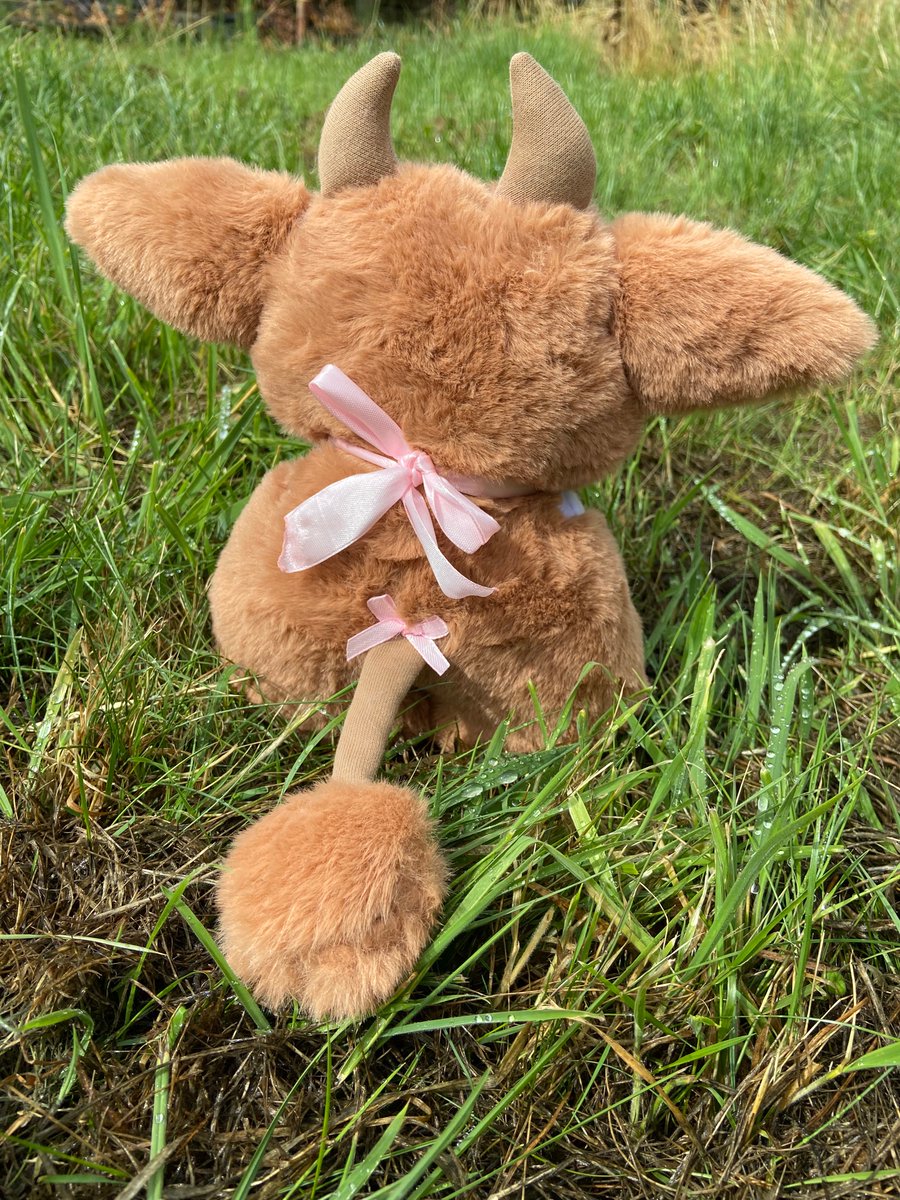 Hi!!! I’m Moosy I love highland cows so I decided to make myself a cow costume. Im handmade and one of a kind. 

#handmade #art #sculpture #arttoy #handmadeplush #cowplush #artuk #ArtistOnTwitter #SmallBusiness