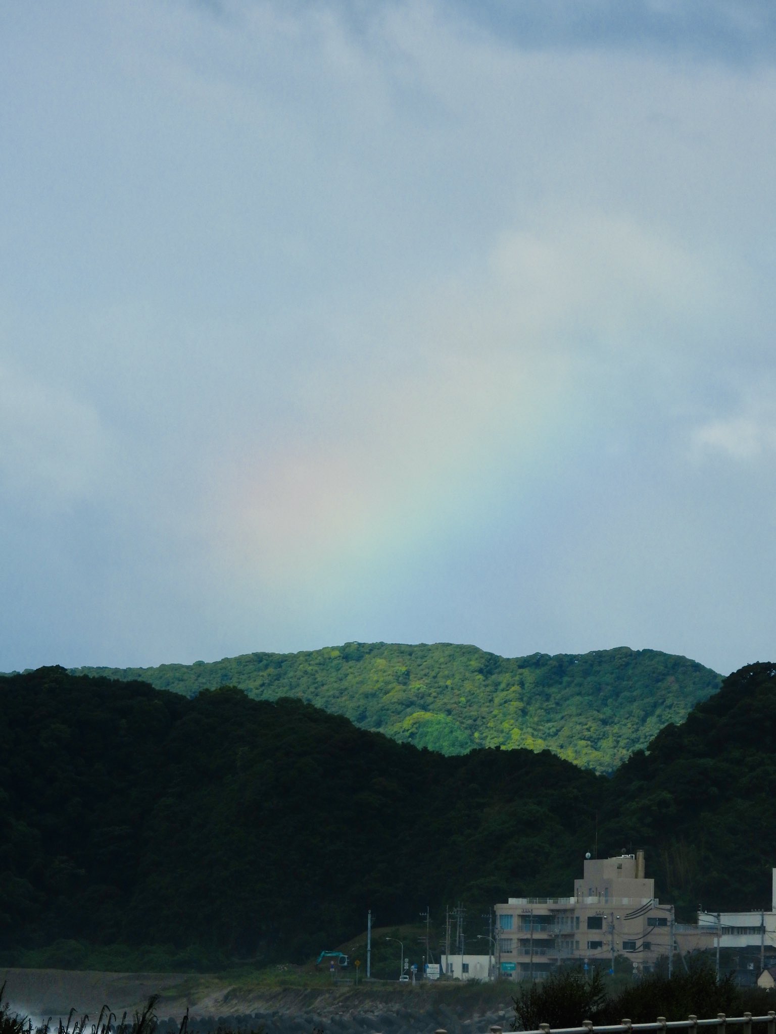 国民宿舎桂浜荘 Twitter Search Twitter