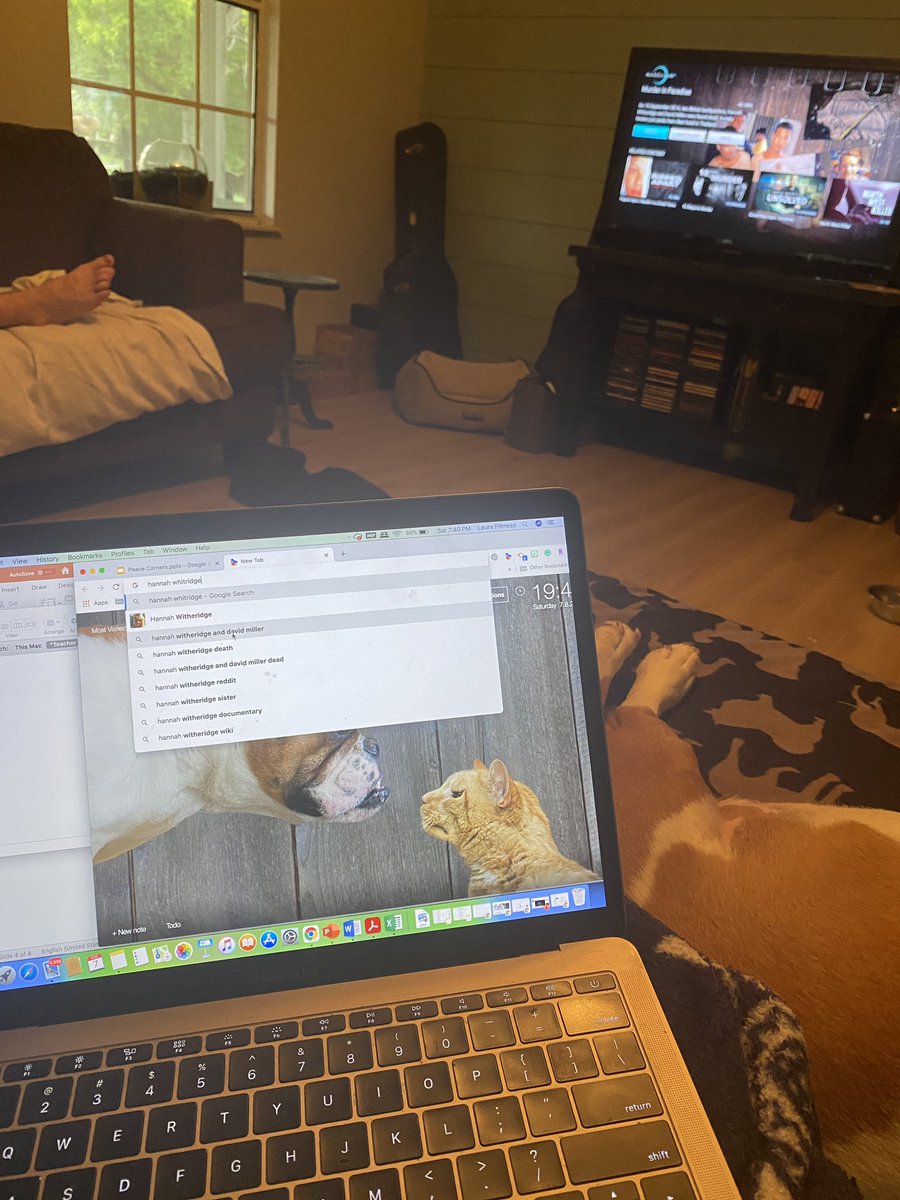 Paws-itive Counselor tweet media
