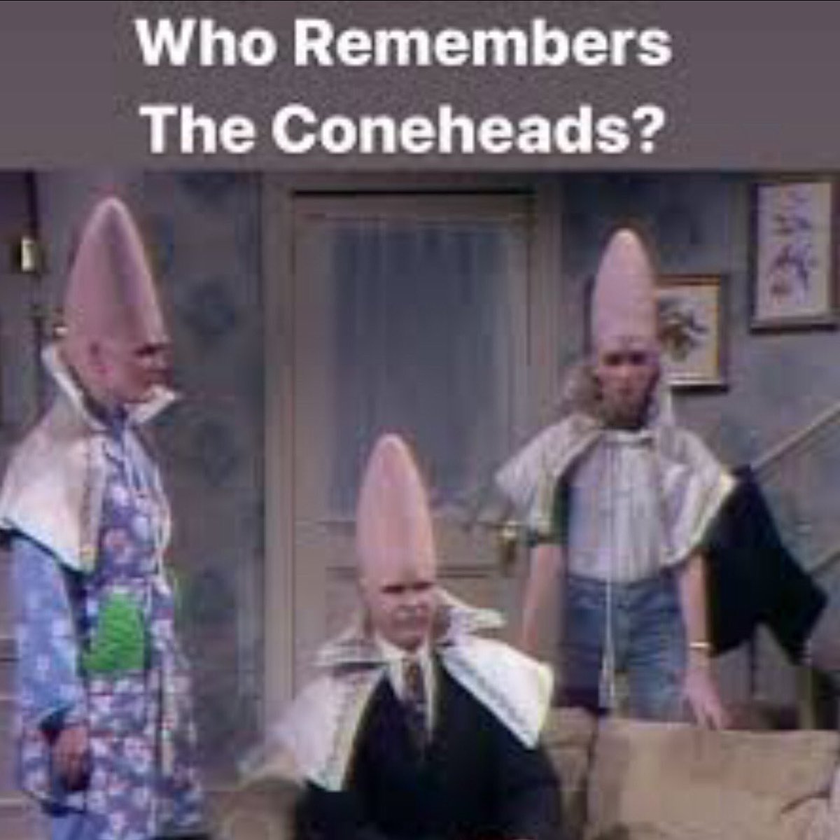 Who Remembers The “Coneheads?”

#ConeHeads #SaturdayNightLive @nbcsnl #SNL #DanAkroyd #JaneCurtin #LaraineNewman #Aliens #Alien #Earth