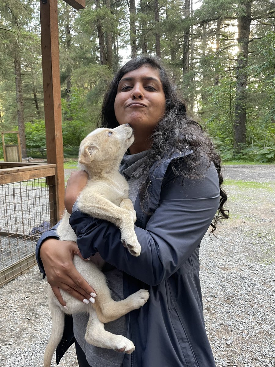 Training for the Iditarod!