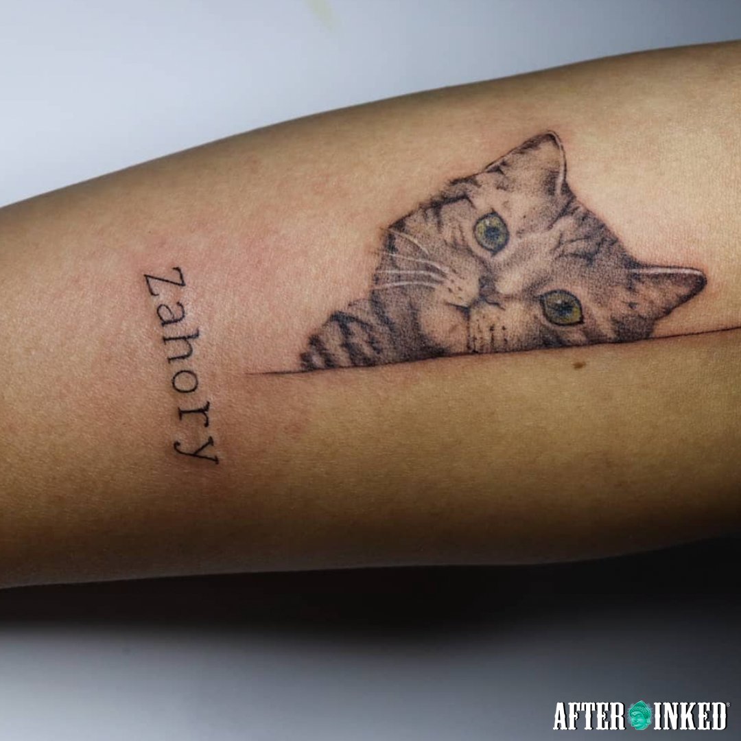 AfterInked's tweet photo. The purr of cats helps reduce stress, they can help a person with autism to communicate. Happy World Cat Day. #HappyWorldCatDay #WorldCatDay #CatDay #afterinked #proudusers #formulatedforperfection #afterinkedeveryday #tattooaftercare #vegan #valentaink_1 #visualinkstudio https://t.co/jSI83srqti