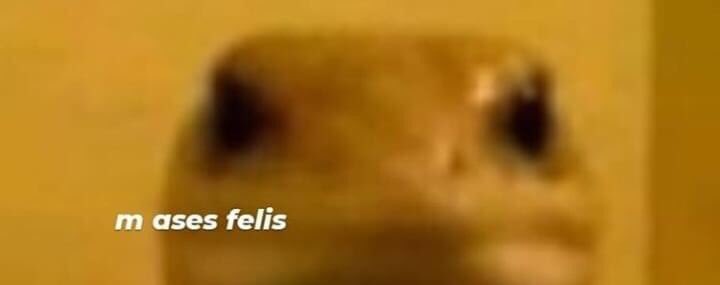 *mi mascota haciendo nada*

Yo: