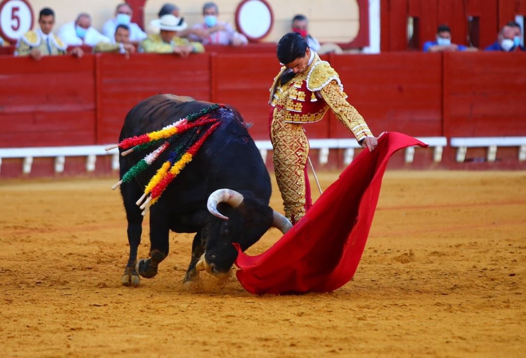 zabaladelaserna's tweet photo. Una pregunta: si te dan a elegir… Fotos: Emilio Méndez / Circuitos Taurinos https://t.co/02b8tvoJ5j