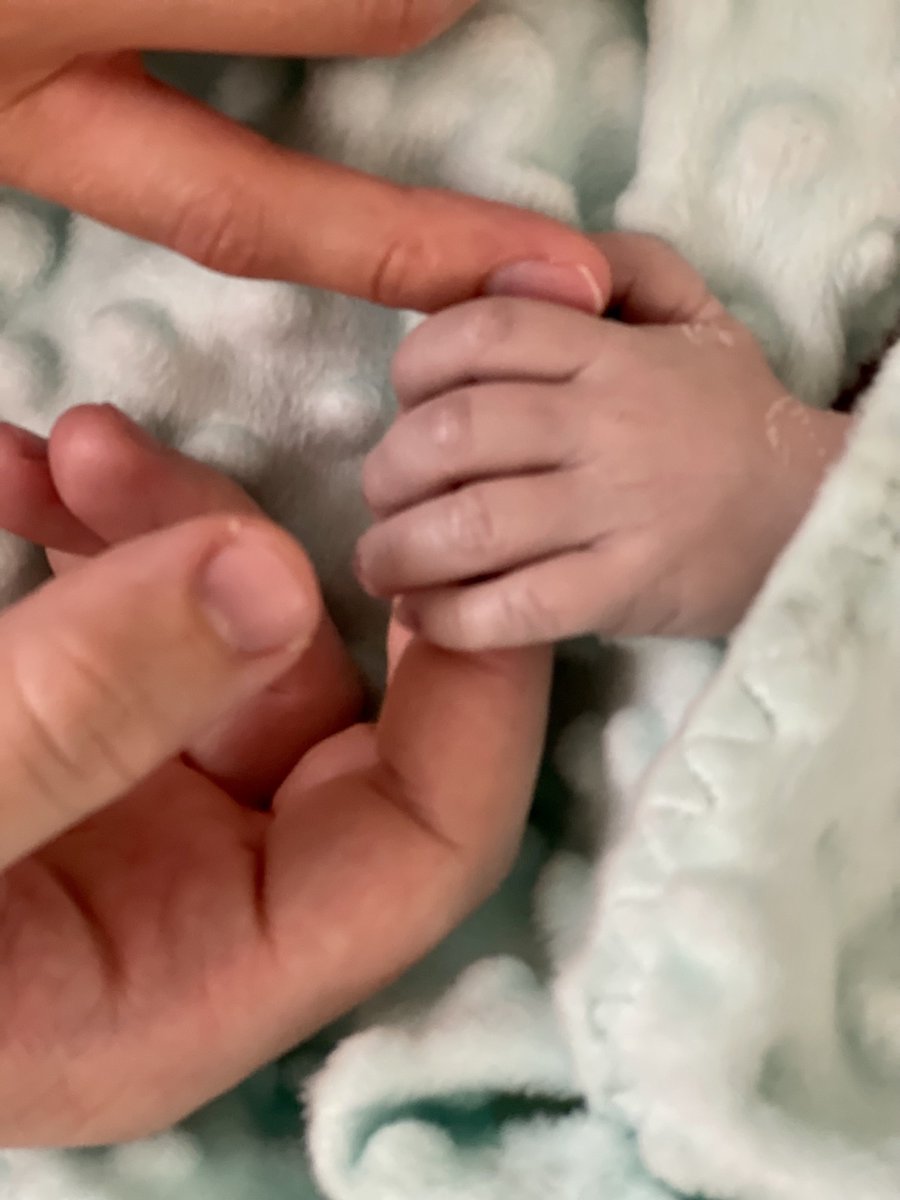 Rick Karius tweet media