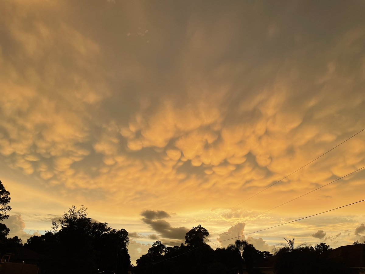 FL_StormSpotter's tweet photo. Florida sunset with mammatus clouds. #flwx #sunset https://t.co/zdfiJcRO02
