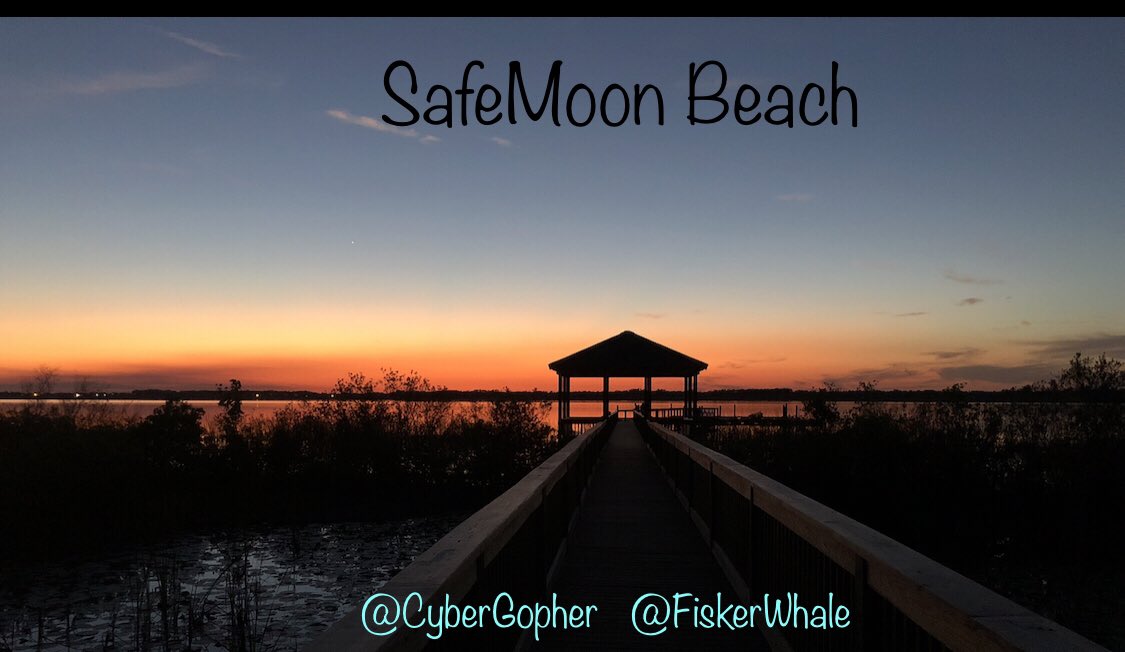 VeteranInsights's tweet photo. #SAFEMOON and Iโm already here taking photographs at our Florida house #BoatSlips #Sunsets #SafeMoonBeach #SafeMoonBlockChain @SafeMoon For Gambia ๐ฌ๐ฒ let the PHEONIx arise! https://t.co/E2RZeasdaj