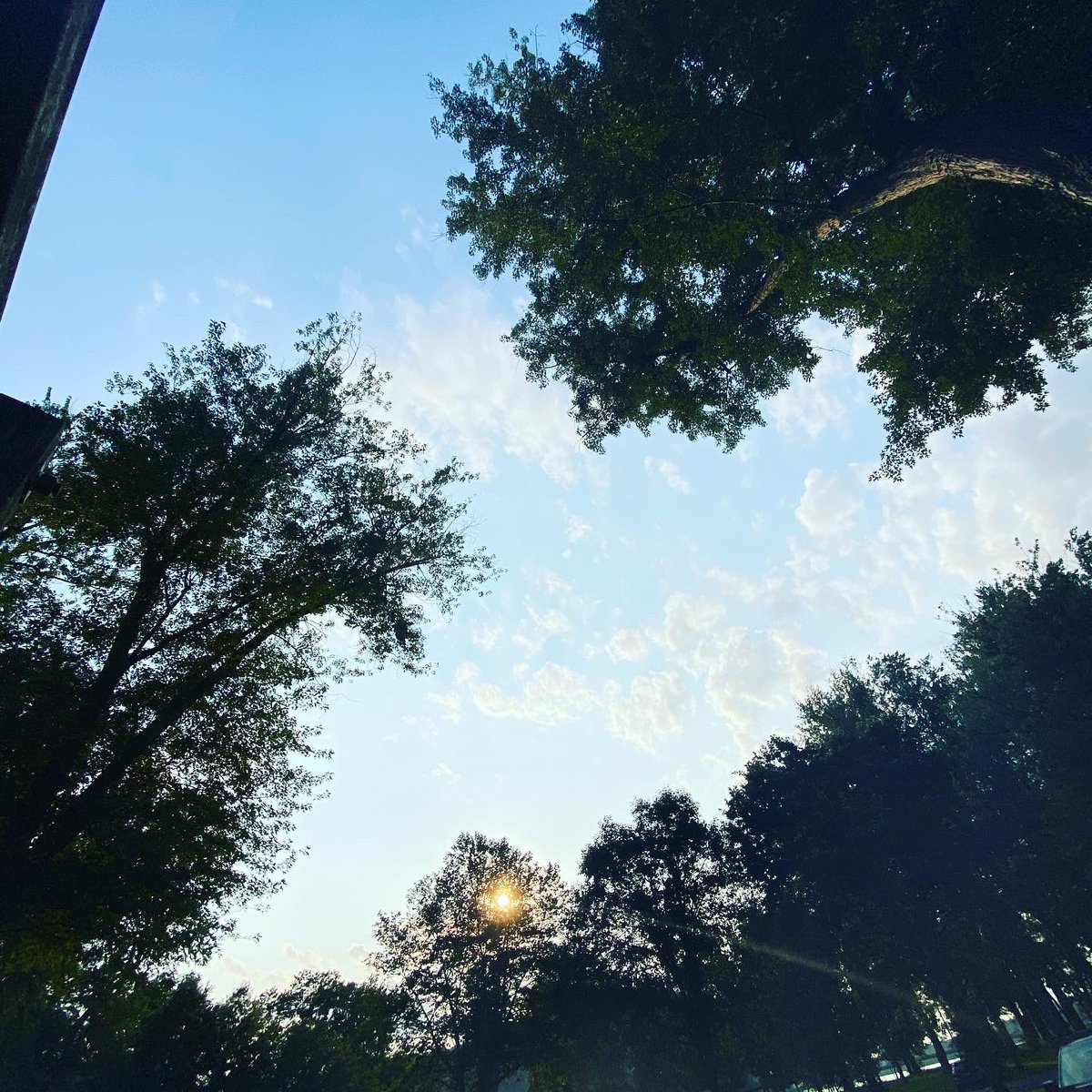 Debphotography2's tweet photo. https://t.co/xf6vSGiyOx