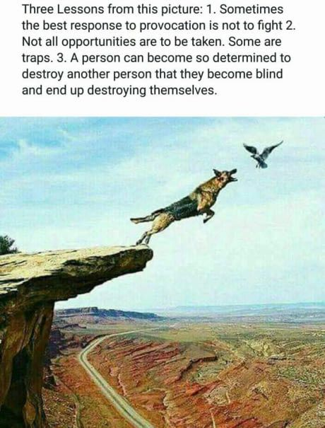 Iamanirudhsethi's tweet photo. SAVE THIS https://t.co/k67Jv12sLs