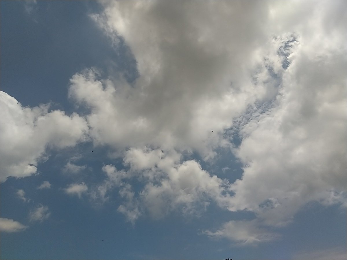 aya_kwoamon's tweet photo. 昨日の『情熱大陸』で、雲の研究者の荒木健太郎さんについて放送していましたね。『おかえりモネ』で、気象に興味がでてきています。最近は、空をみることが増えて、たまに写真にとったりします。
沖縄の夏空⬇️ https://t.co/xdx2LV5KRA