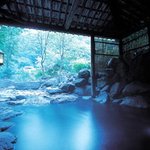 hiro 🌲青い森の住人🌲のツイート画像