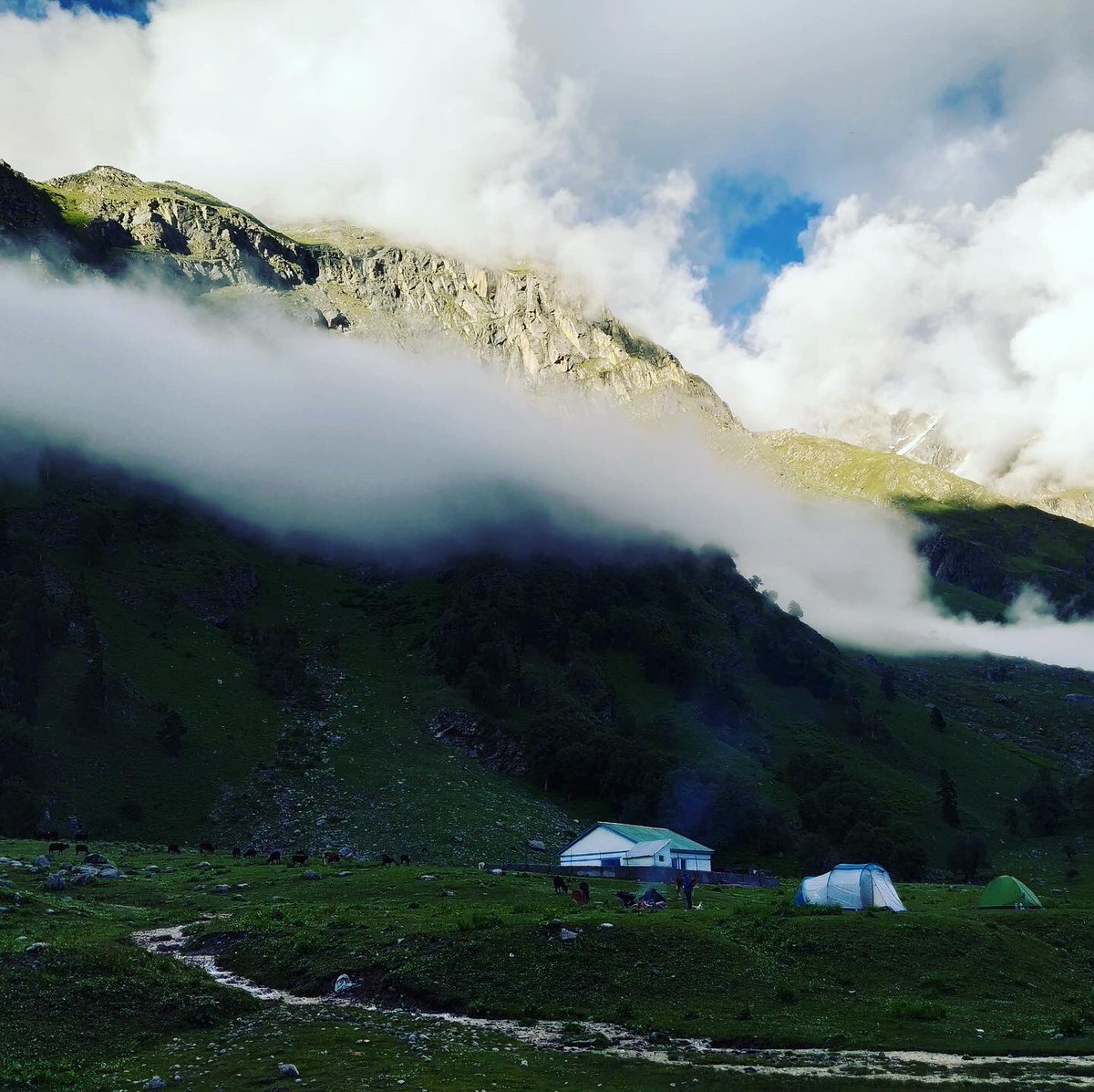 NorthRoutes's tweet photo. Mulling Campsite
Bhaba Pass
.
.
Don’t forget to follow us
.
#Bhabapass #kinnaur #kinnaurvalley #shimla #sharahan #sangla #chitkul #kalpa #himachalpradesh #himachaltourism #familytour #holiday #indiantourism #increadibleindia #increablehimachal #specialoffer #packagtour https://t.co/1FdZr2ZZ6J