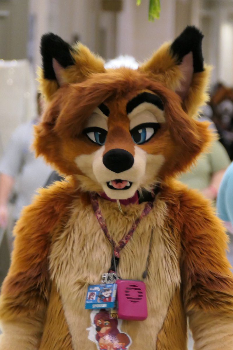 TheEternalFloof's tweet photo. First round of pics I took at #Megaplex2021 
(Please Tag the fursuiters if they have not been already) https://t.co/kp5AA7yDgf