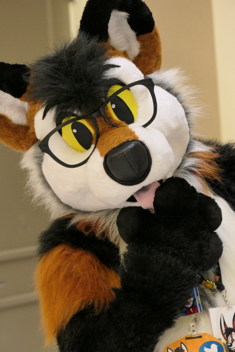 TheEternalFloof's tweet photo. First round of pics I took at #Megaplex2021 
(Please Tag the fursuiters if they have not been already) https://t.co/kp5AA7yDgf