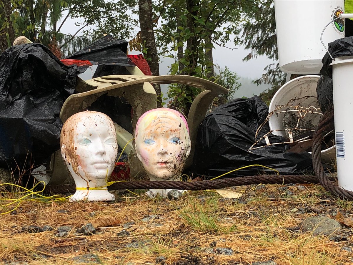 MissionMESS's tweet photo. Our Litter Buster Families had an epic day at Stave Lake West. We learned about the environment, cleaned up the beach, and then explored the lake. We got 154 pounds of trash including styrofoam mannequin heads hanging off of trees. #messociety #volunteersrock #missionbc https://t.co/pMqL3g16zo