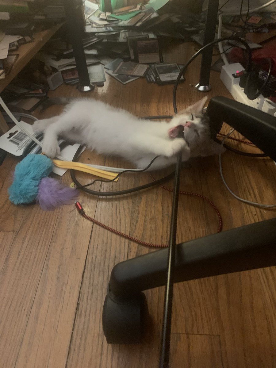 Dane Esposito tweet media