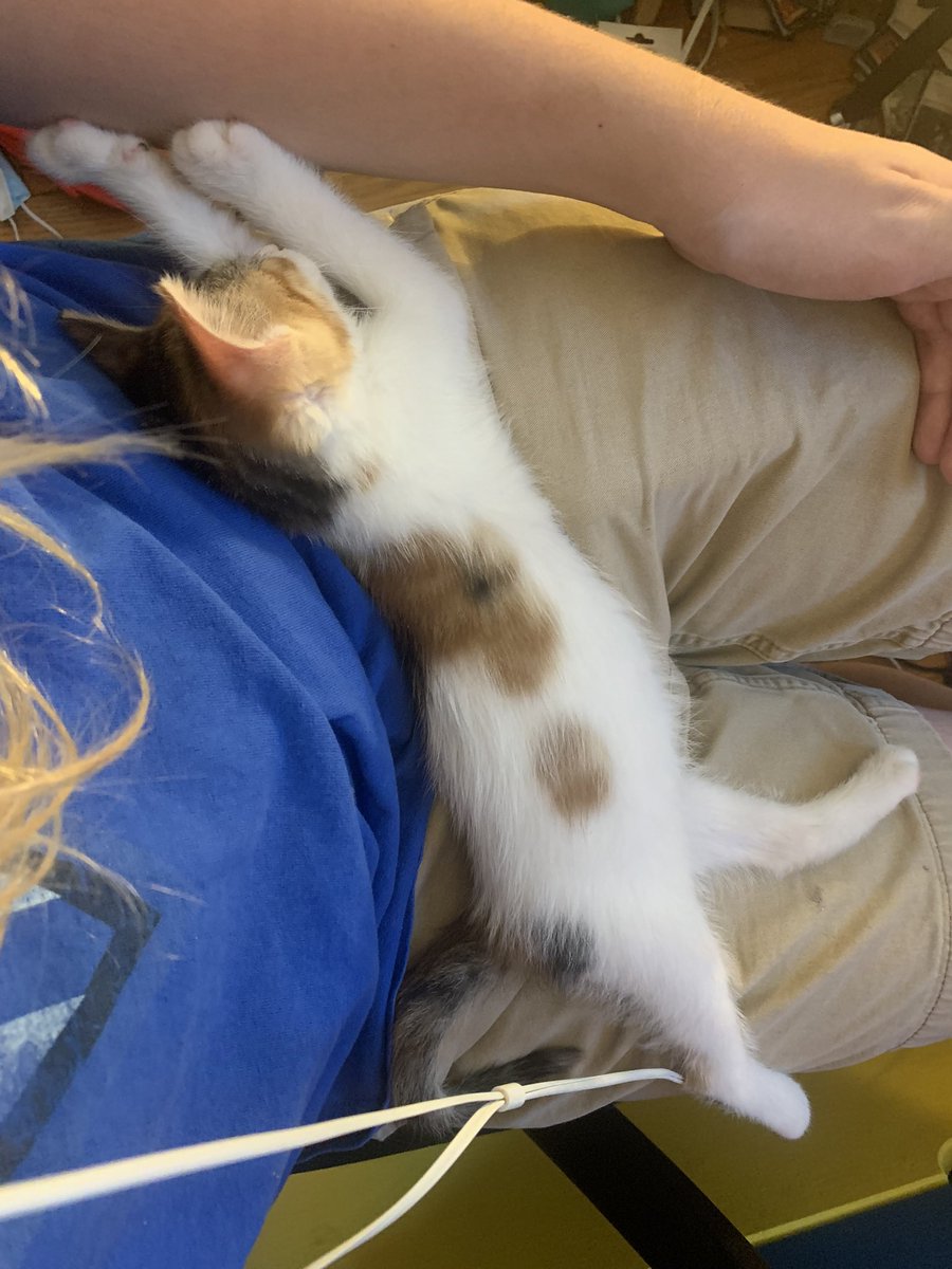 Dane Esposito tweet media