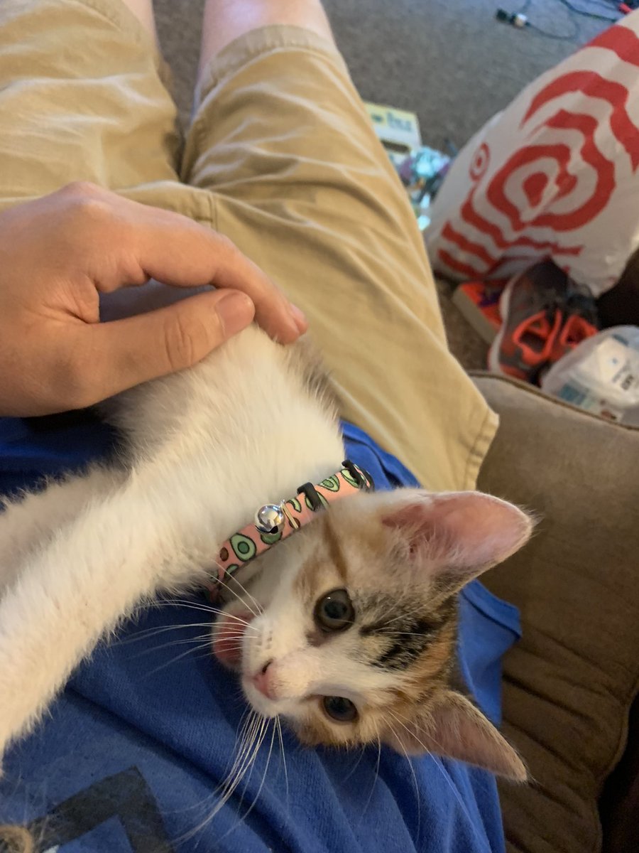 Dane Esposito tweet media