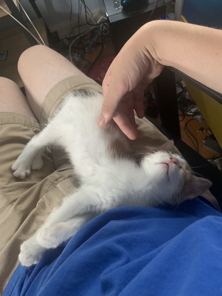 Dane Esposito tweet media