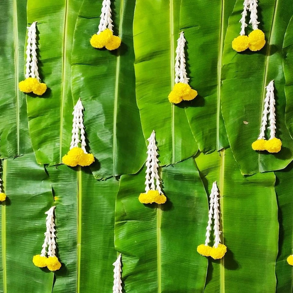 TheEventLab2's tweet image. Banana leaves are BFFs, especially in South Indian weddings where banana leaves are one of the most eco-friendly and sustainable substitutes for wedding lunches and dinners! Their lush green colour reflects so well against the colourful food.
#weddingbells #weddings #weddingdecor
