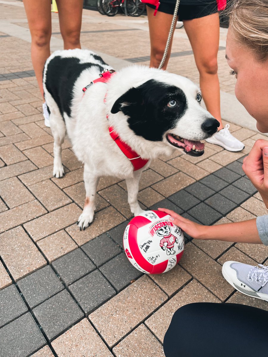In “Report Day” tradition, we surprised a few season tickets holders today. We missed your faces.