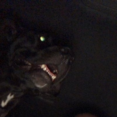 M_thMann's tweet photo. #NewProfilePic https://t.co/ZkXVxDLuJs