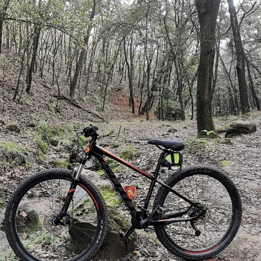 An_Thony_o's tweet photo. Le Robaron la bici a mi prima, scoot aspect gris con naranja talla chica, fue por Mariano otero, casi llegando a la Primavera @Trafico_ZMG #Delincuencia #bicicleta #robo https://t.co/Hi6LoZAisB