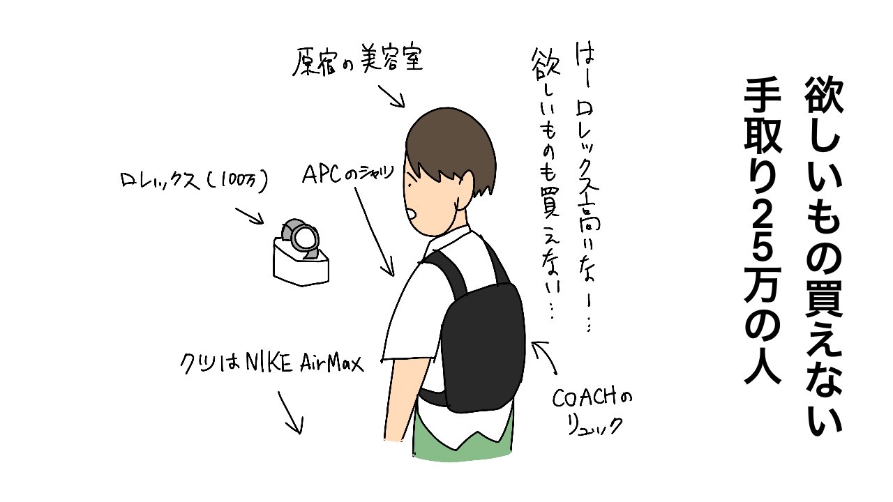 しょうに 欲しいものが買えない 手取り25万 の人 T Co Gxmnq29aqi Twitter