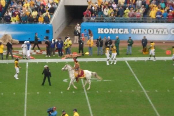 miwakostory's tweet photo. Gator Bowl, January 1, 2010
Coach Bowden’s last game as the Head Coach 🍢🏈
#nolesforlife #FSU https://t.co/ZOYe8TA1je