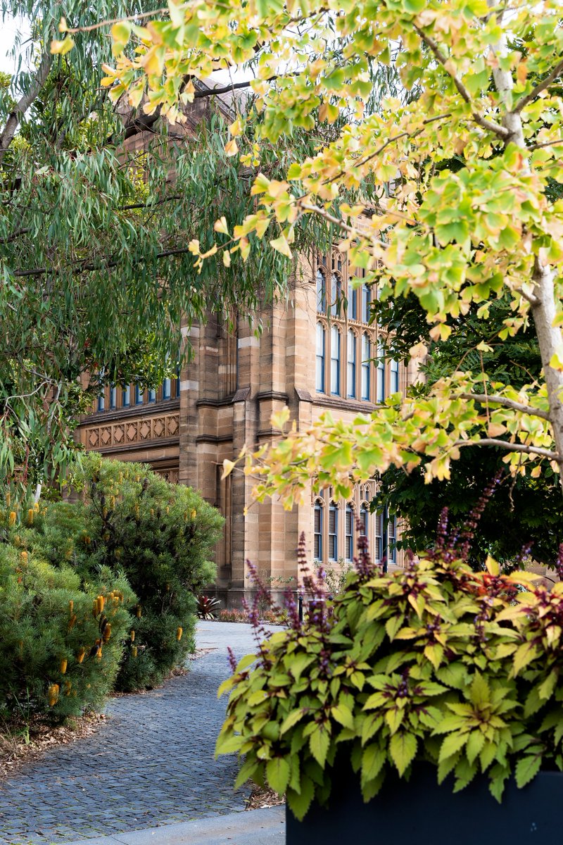 University of Sydney tweet media