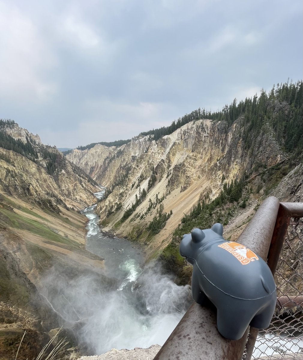 I discovered that even Hippos feel small in the Grand Tetons and Yellowstone!
#HippoNation