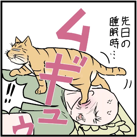 ニャンコはずるい!ずるいよ!!w
#にゃんこ #まんが #マンガ #4コマ漫画 #四コマ漫画 #猫 #ねこ部 #ねこ #ねこすたぐらむ #猫あるある #猫漫画 #ペット #飼い主 #にゃんすたぐらむ #ニャンスタグラム #ねこらぶ #エッセイ漫画 #みんねこ #キャット #ねこのいる生活 #猫ばか #にゃんだふるらいふ 