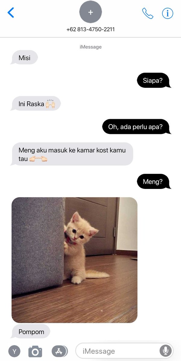 RT @jenggalaloka: Jaemren one tweet au!
—Happy international cat day ; universe sebelah— https://t.co/xq4XEu5W9o