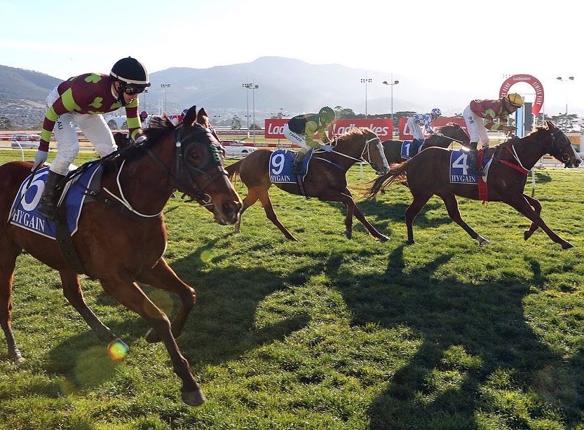 Flourishing Future ☘️ win the Hygain Benchmark 66 Hcp
BM66, 1600m. Thank your for the support <a href="/Bruntonracing/">Scott Brunton</a> <a href="/tegan_keys/">Tegan keys</a> 💚